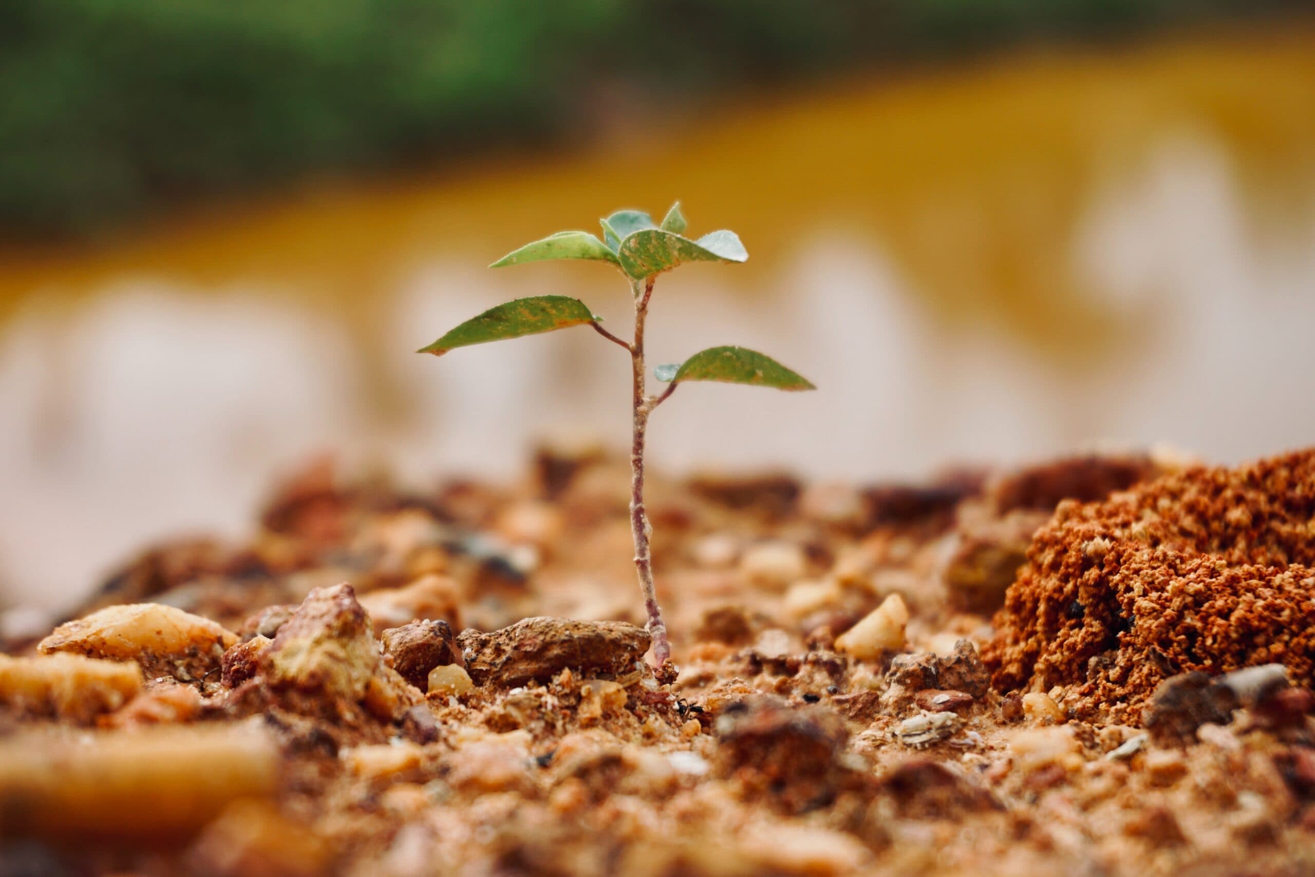 Safety & Sustainability — PT. Energy Petrochemical Indonesia